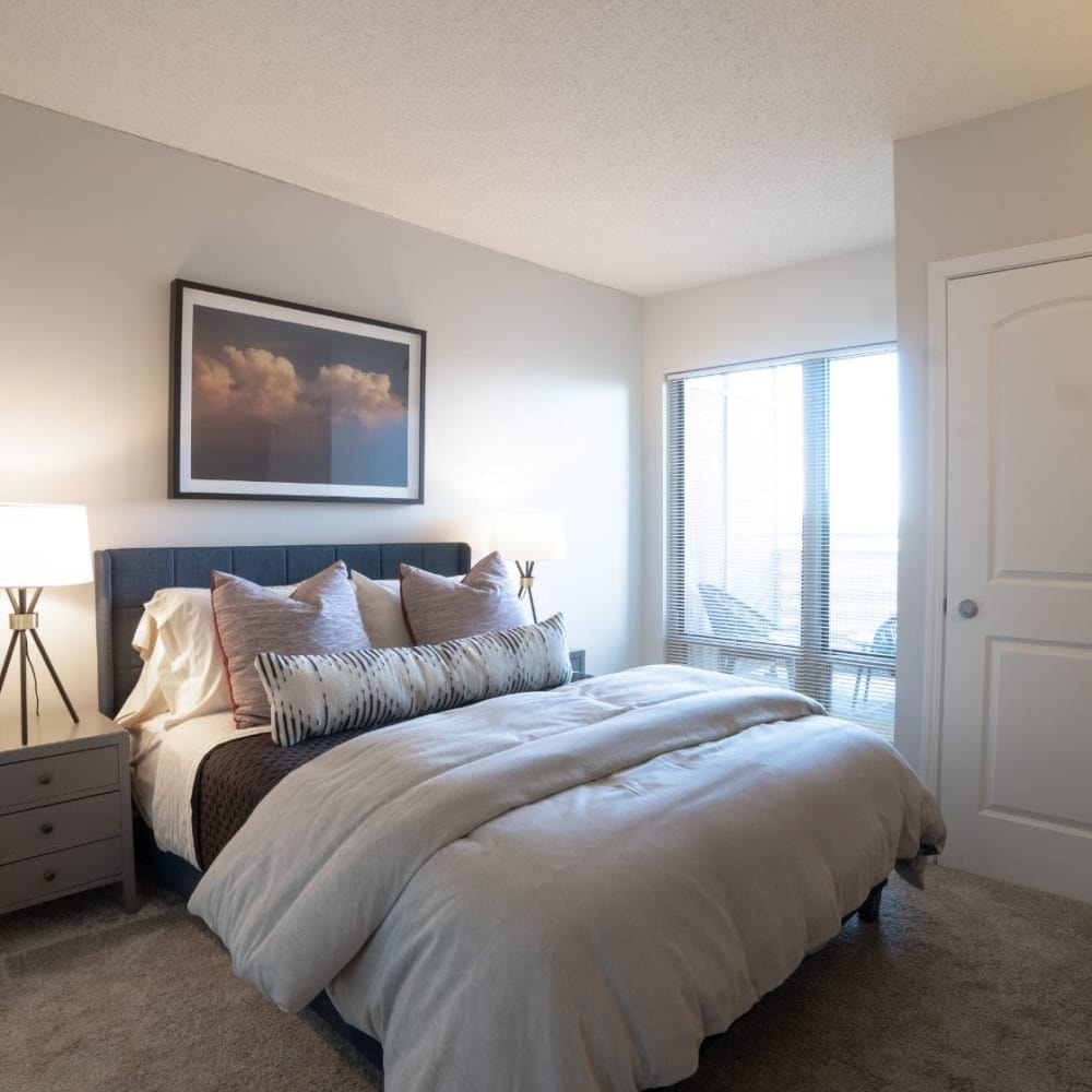 415 Premier Apartments photo 8