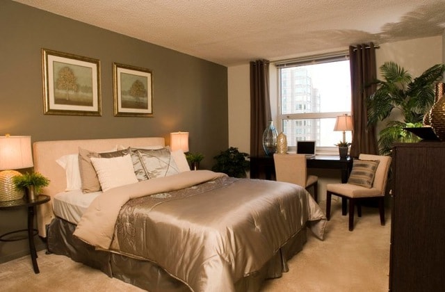 Grand Plaza photo 24