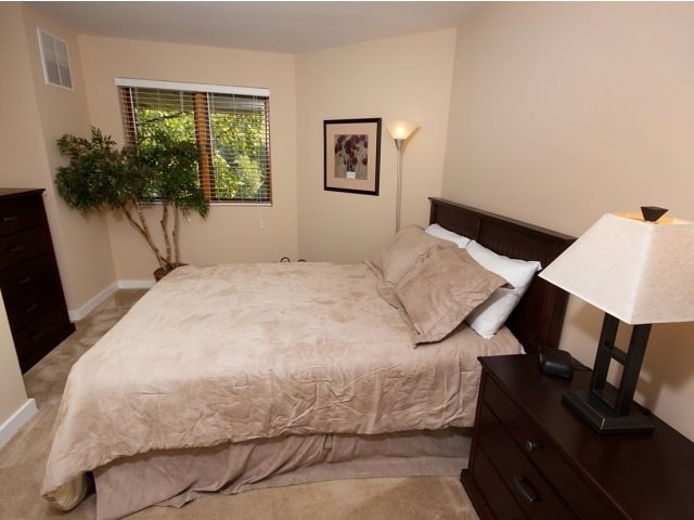 Oak Park City Apartments photo 2