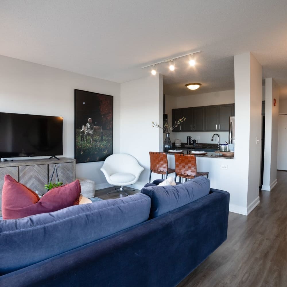 415 Premier Apartments photo 6