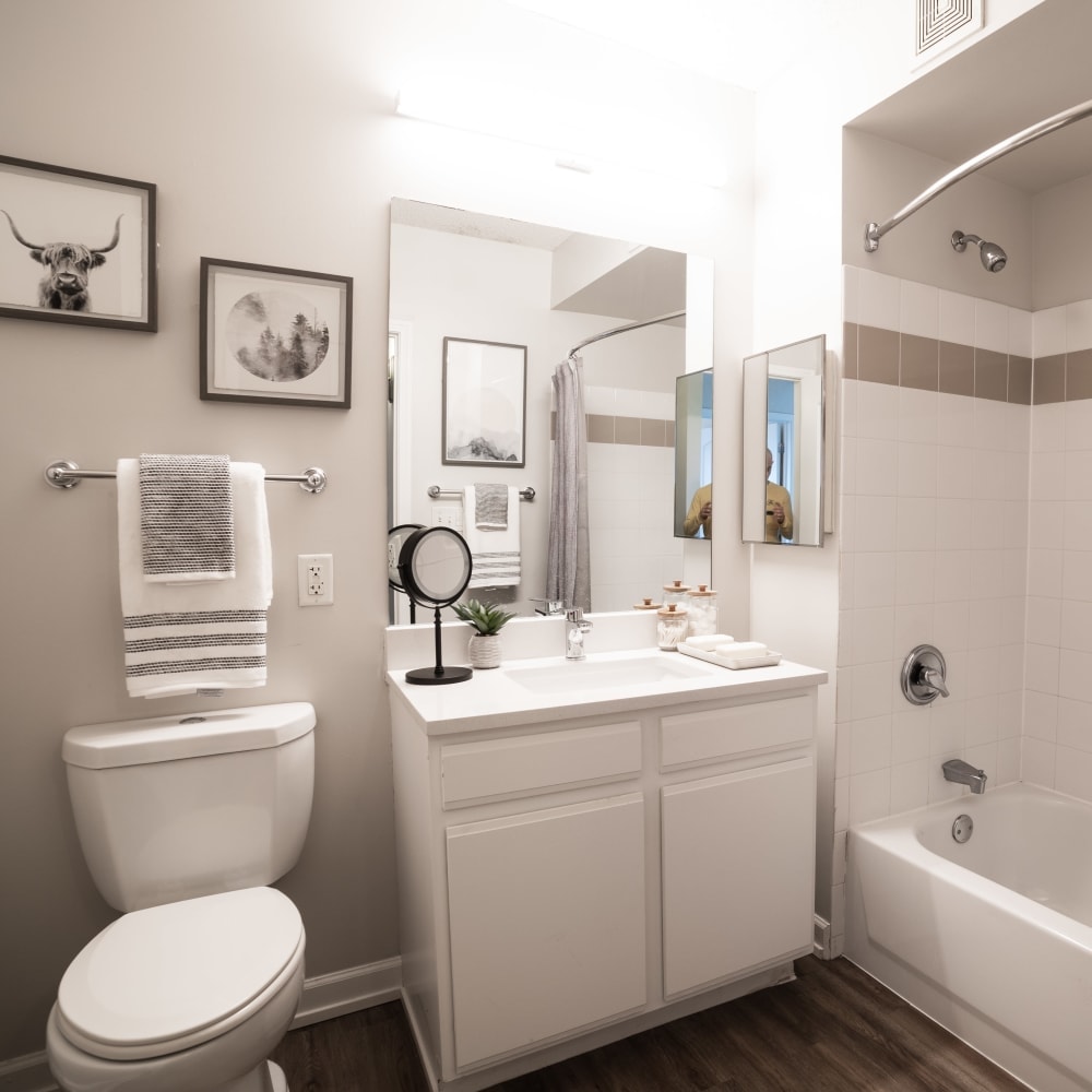 415 Premier Apartments photo 9
