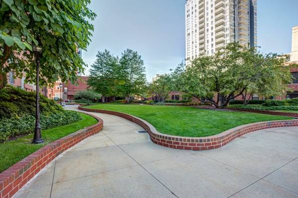 River North Park photo 62