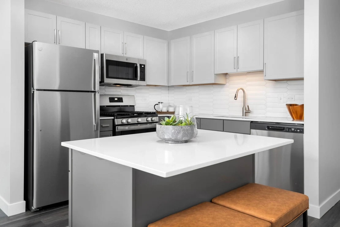 400 E. South Water, Chicago, IL 60601 — kitchen view