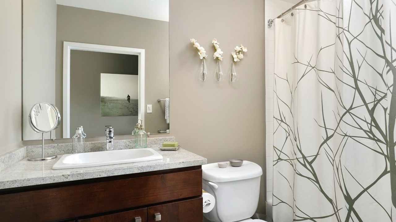 Chestnut Tower Apartments photo 9