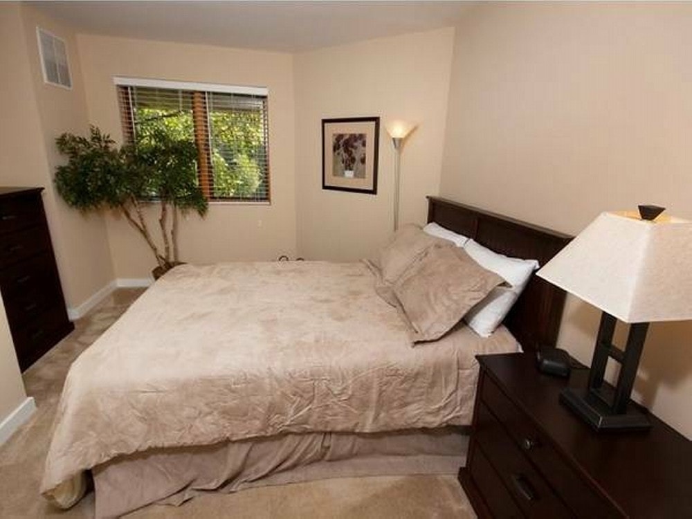 Oak Park City Apartments photo 54