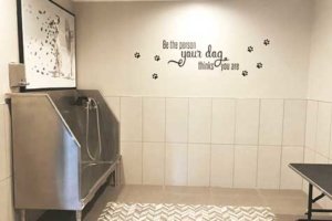 Dunton Tower Apartments photo 9