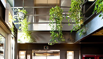 River West Lofts photo 16