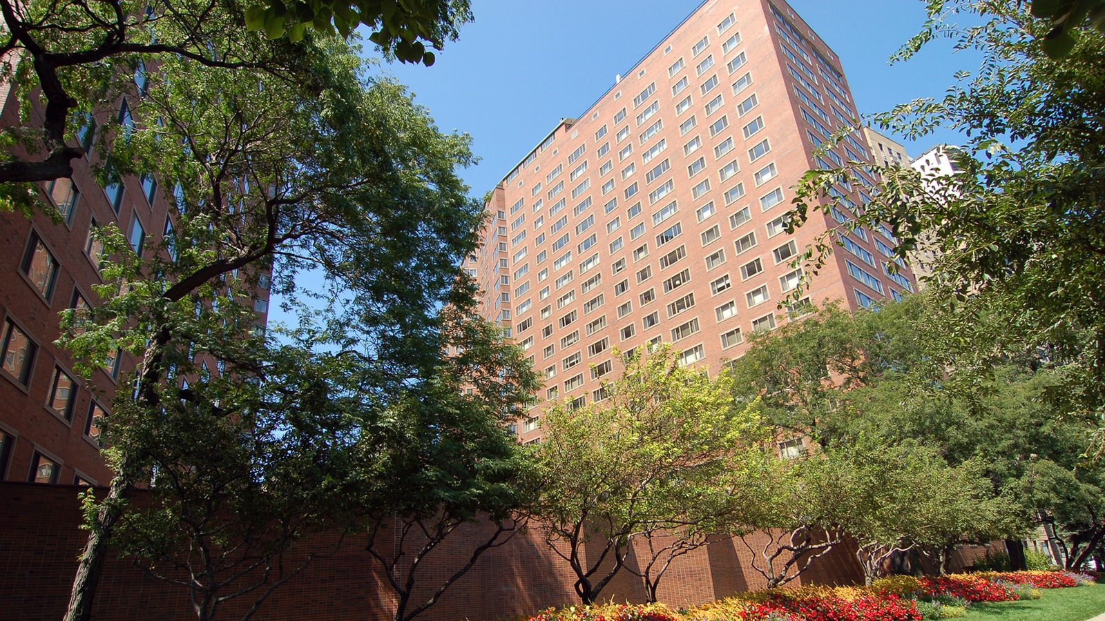 1350 North Lake Shore Drive photo 6