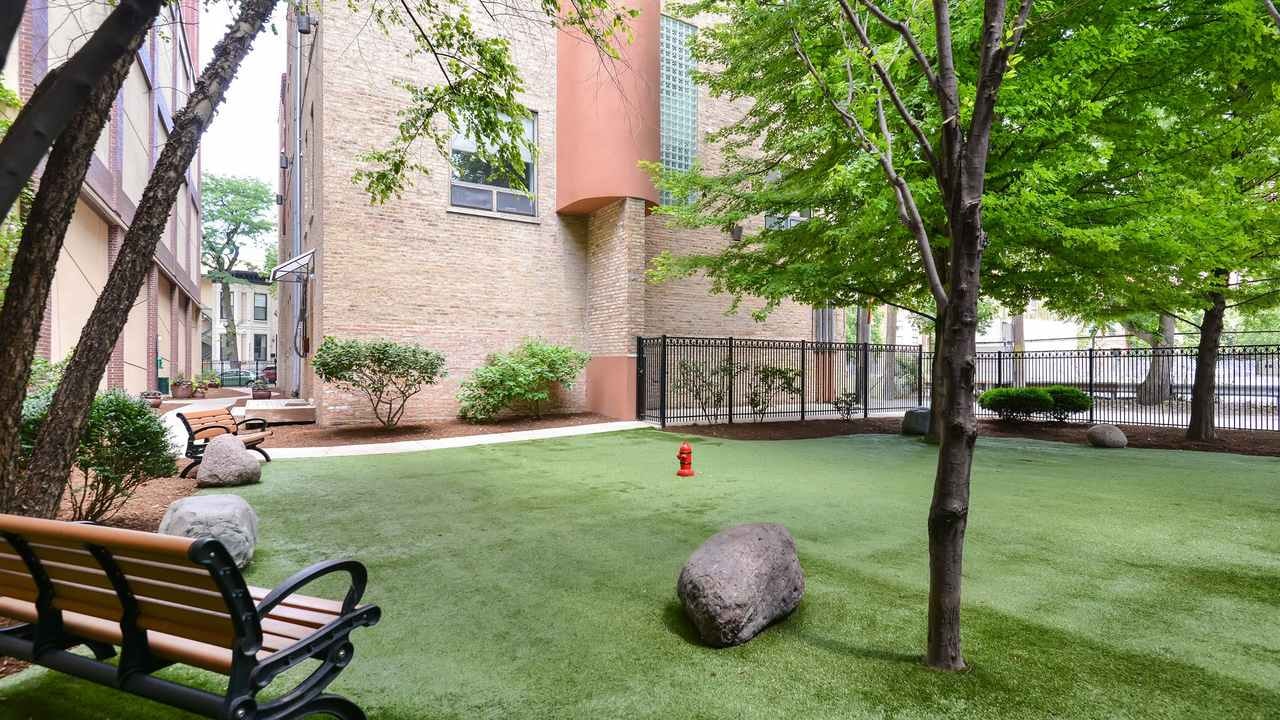 Chestnut Tower Apartments photo 12