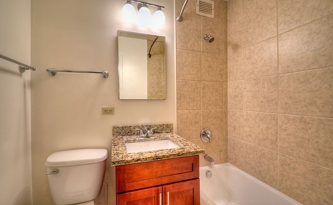 1350 North Lake Shore Drive photo 80