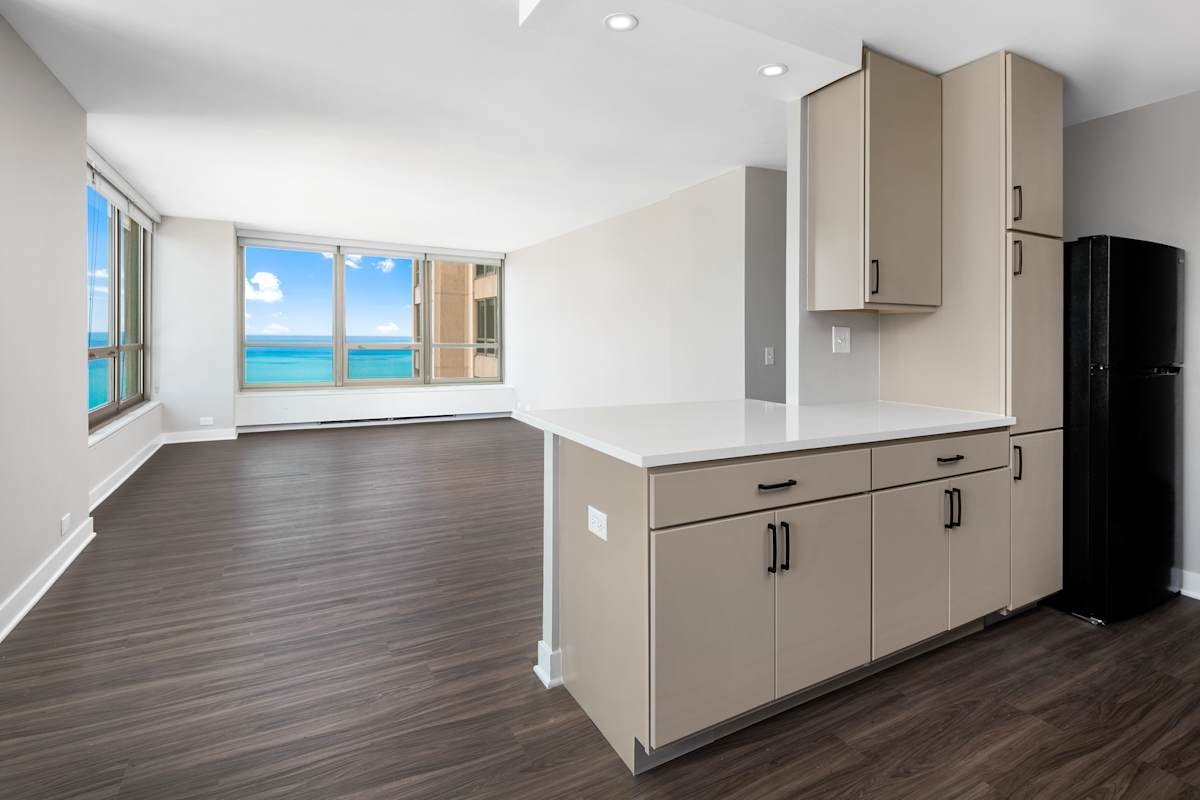 3450 N. Lake Shore Drive photo 28