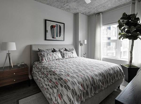 Amli Lofts photo 158