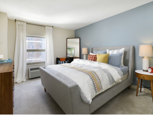 Chestnut Place photo 12