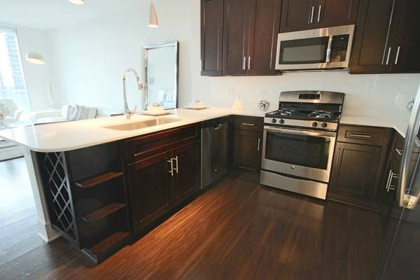 The Residences at NewCity photo 4