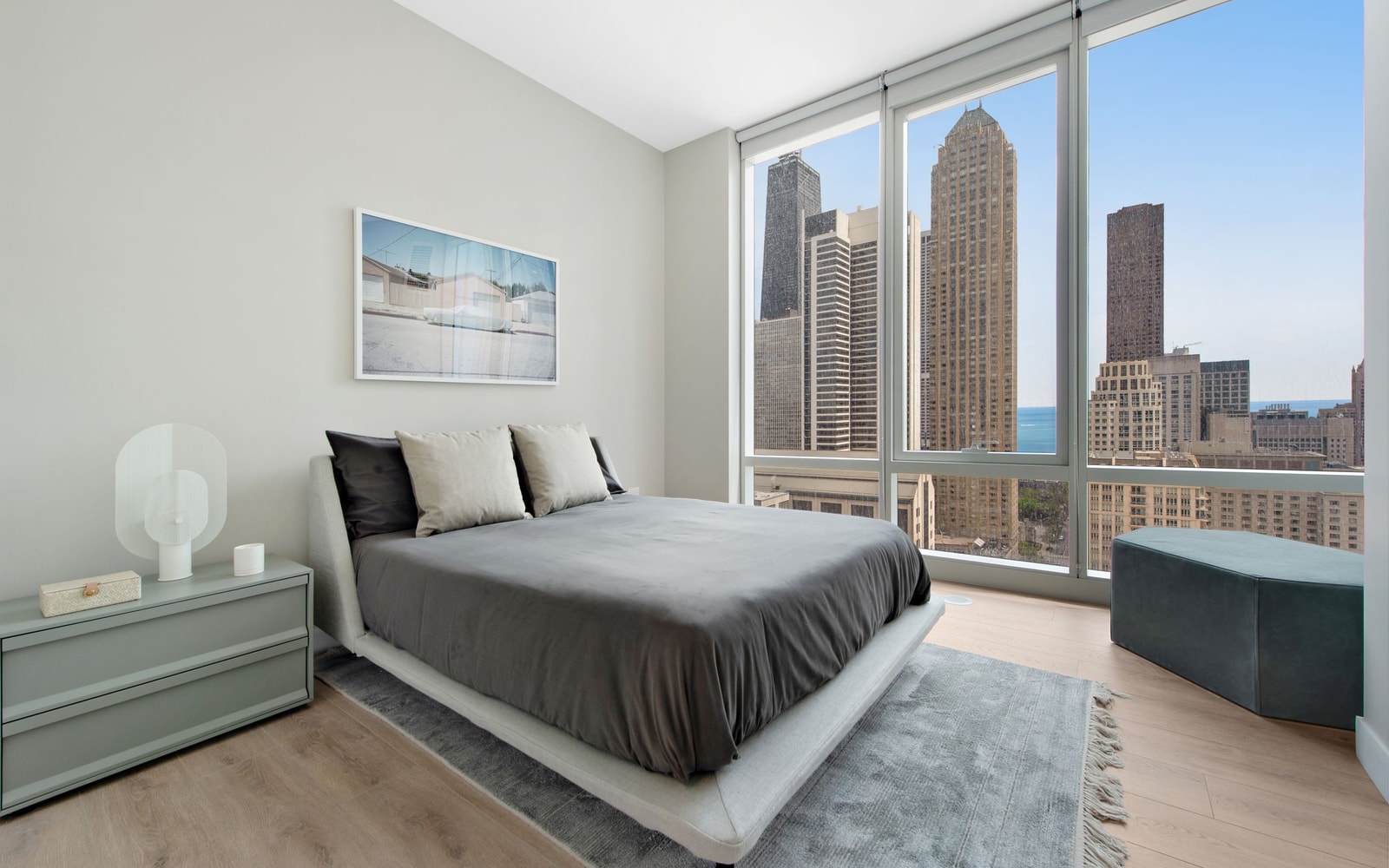 One Chicago photo 23