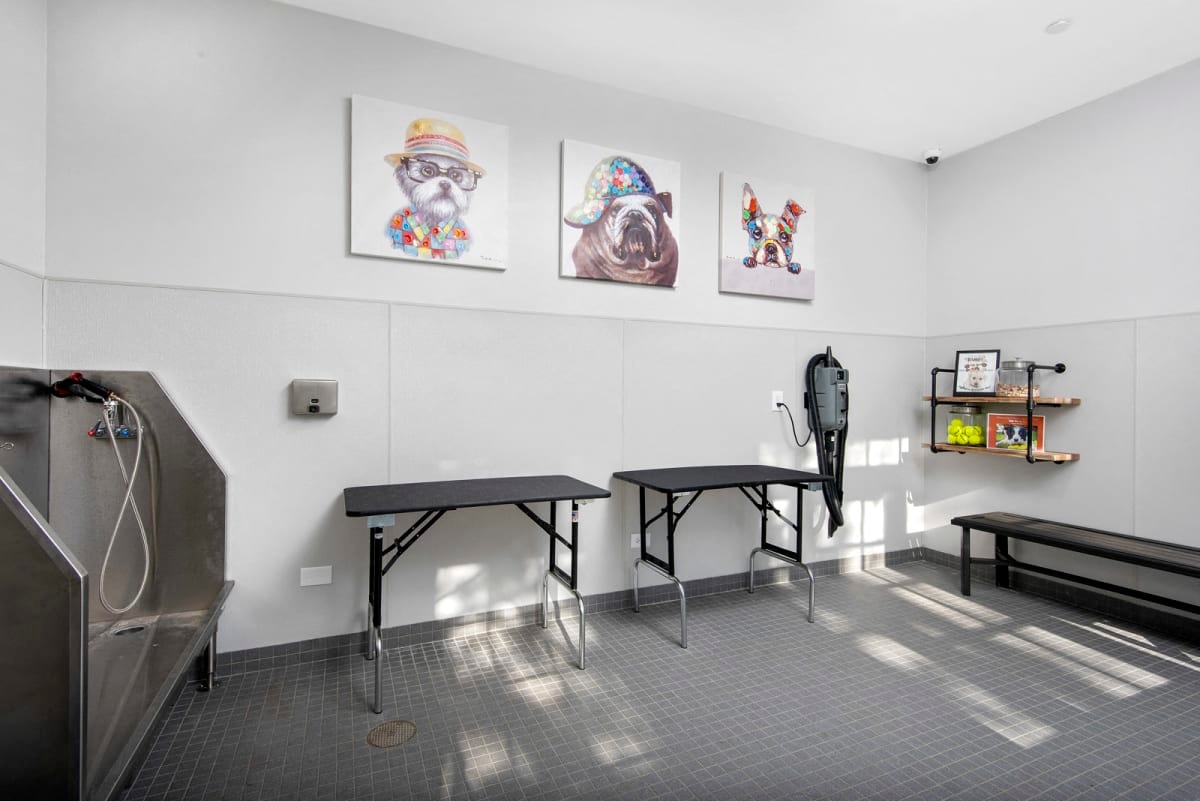 803 Corday at Naperville photo 21