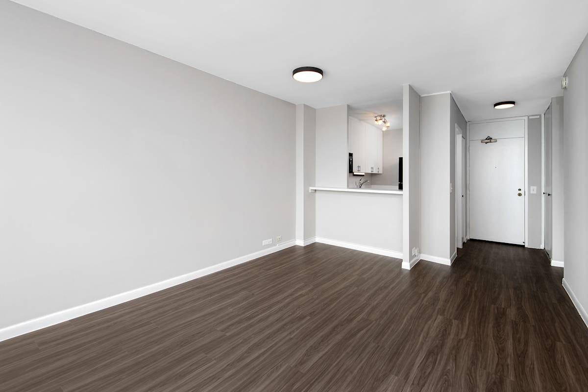 3450 N. Lake Shore Drive photo 37