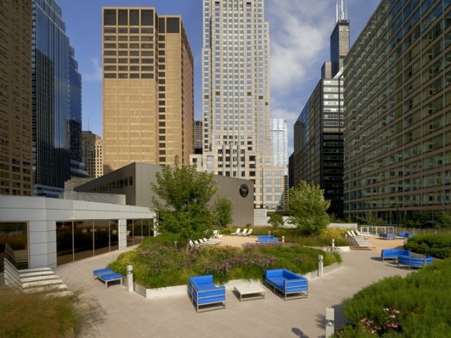 Presidential Towers photo 18