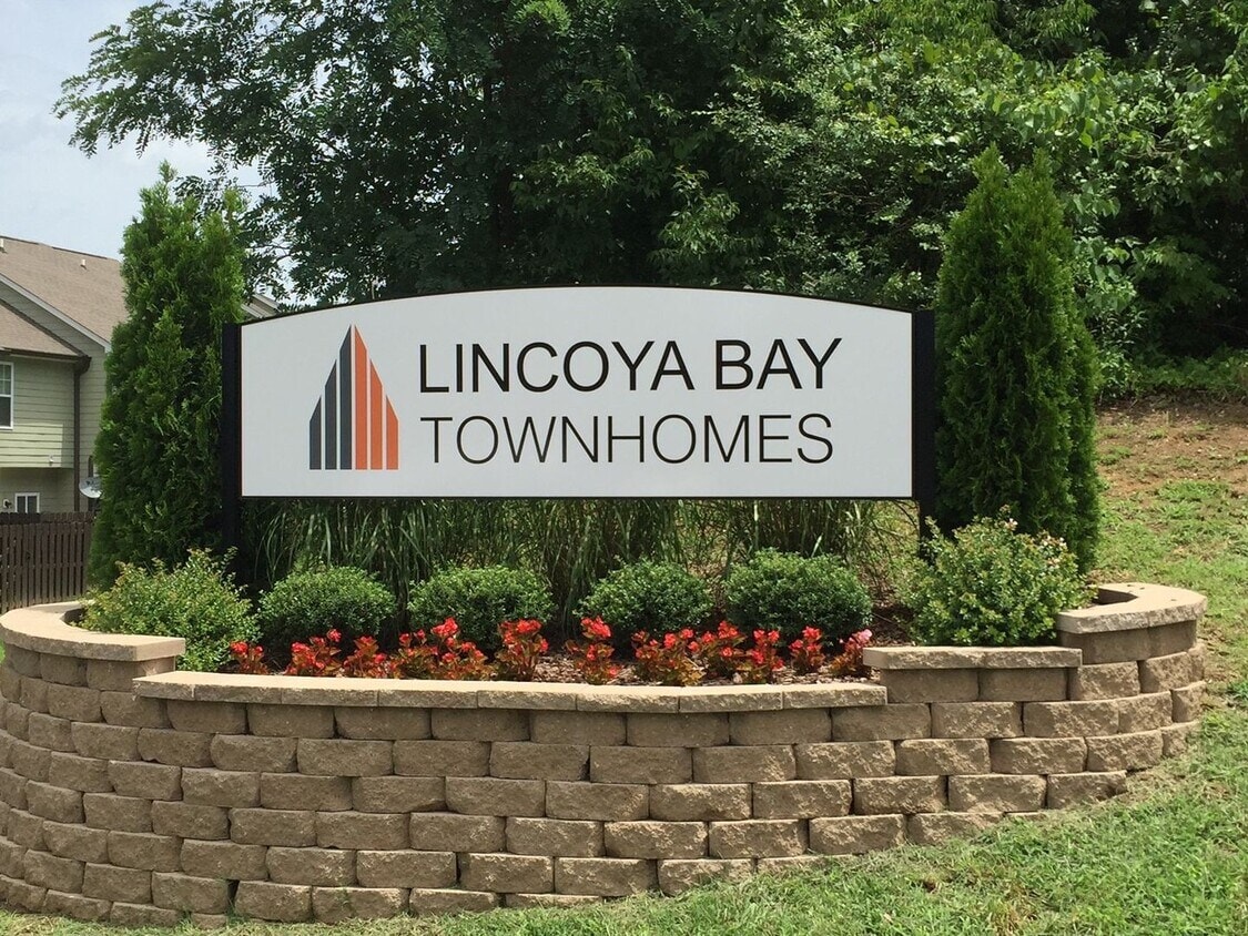 Lincoya photo 23