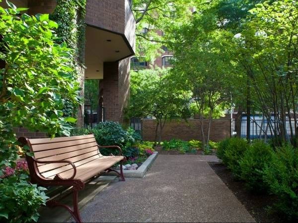 Elm Street Plaza photo 69