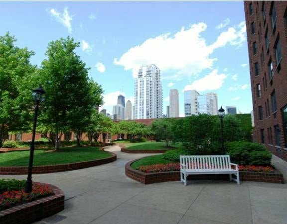 River North Park photo 59