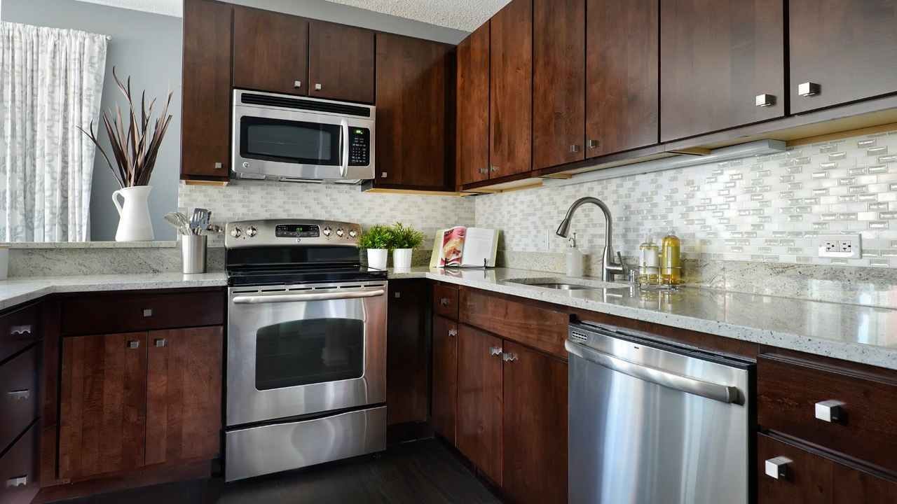 Chestnut Tower Apartments photo 7