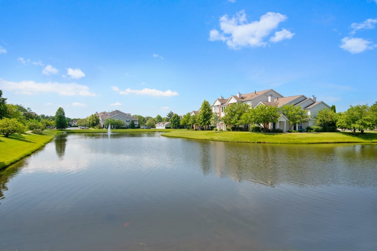 803 Corday at Naperville photo 24