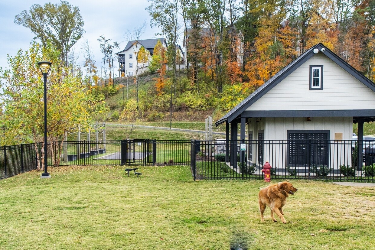 Rivertop photo 35