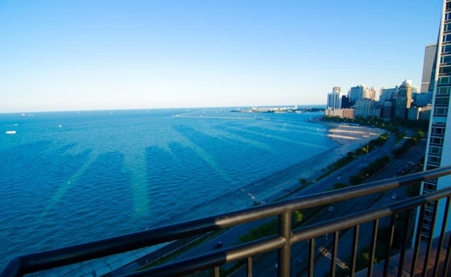 1350 North Lake Shore Drive photo 51