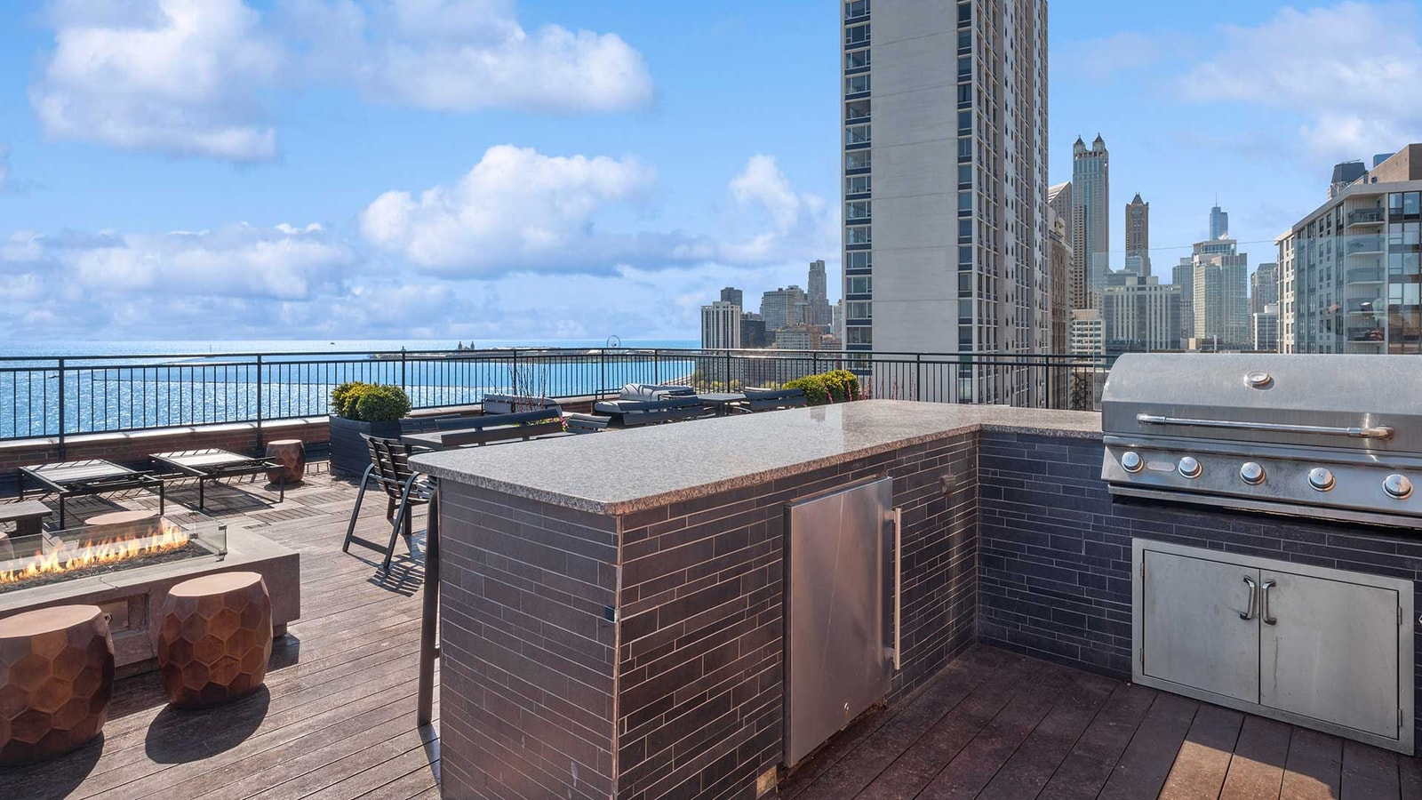 1350 North Lake Shore Drive photo 27