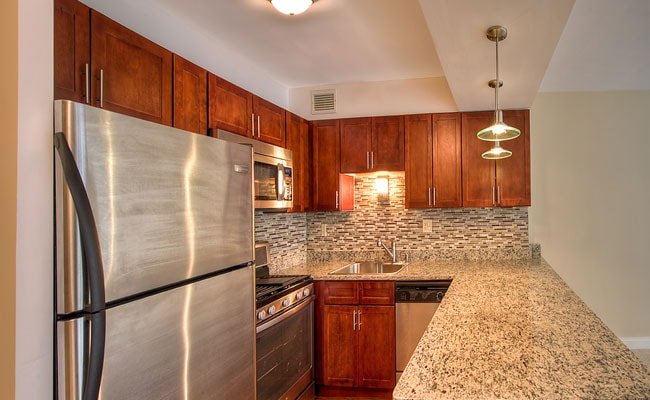 1350 North Lake Shore Drive photo 71