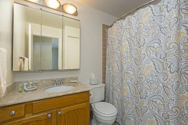 100 West Chestnut Apartments photo 62